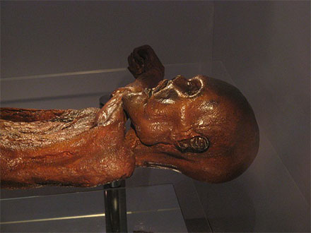      Ötzi - l'uomo venuto dal ghiaccio      